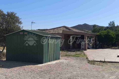 Landejendom i Caudete, Albacete, Caudete - € 165.000 | Ref: SF0576 - foto 18